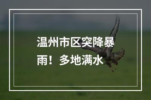 温州市区突降暴雨！多地满水