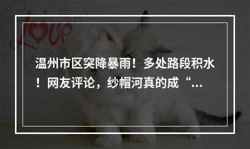 温州市区突降暴雨！多处路段积水！网友评论，纱帽河真的成“河”了
