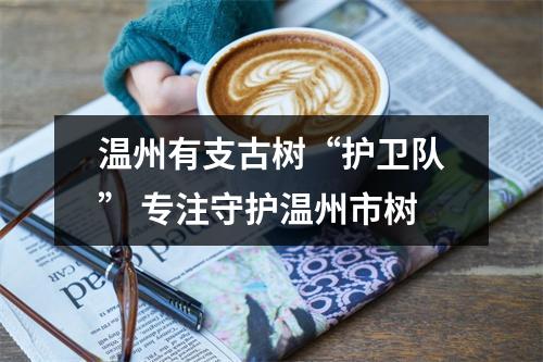 温州有支古树“护卫队” 专注守护温州市树