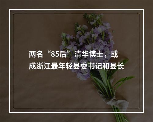 两名“85后”清华博士，或成浙江最年轻县委书记和县长