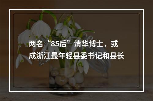 两名“85后”清华博士，或成浙江最年轻县委书记和县长