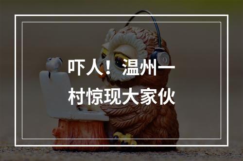 吓人！温州一村惊现大家伙