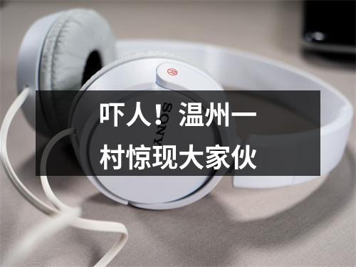 吓人！温州一村惊现大家伙