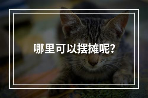 哪里可以摆摊呢？