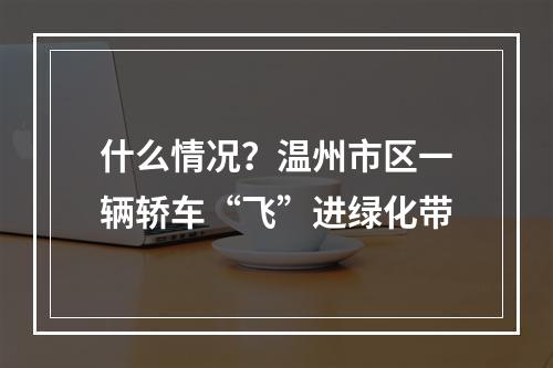 什么情况？温州市区一辆轿车“飞”进绿化带