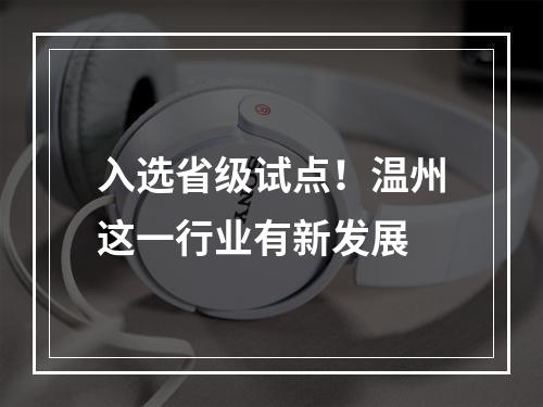 入选省级试点！温州这一行业有新发展