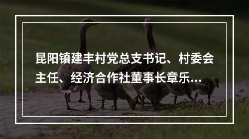 昆阳镇建丰村党总支书记、村委会主任、经济合作社董事长章乐乐被查