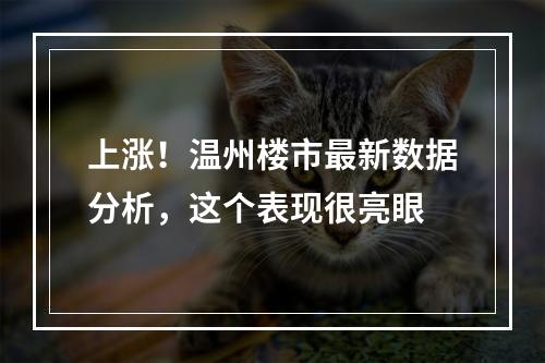 上涨！温州楼市最新数据分析，这个表现很亮眼