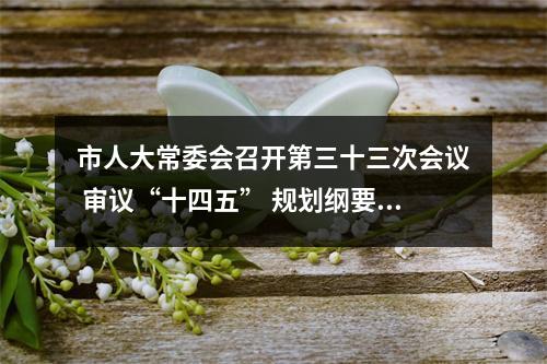 市人大常委会召开第三十三次会议 审议“十四五” 规划纲要编制情况