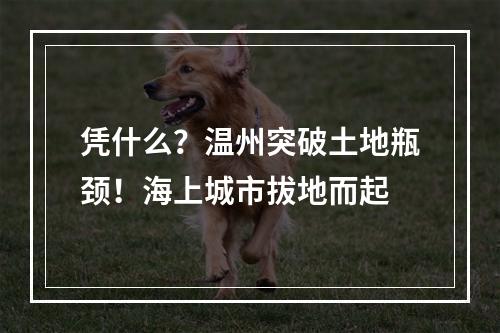 凭什么？温州突破土地瓶颈！海上城市拔地而起
