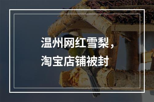 温州网红雪梨，淘宝店铺被封