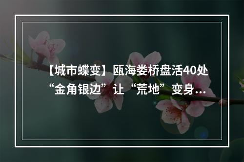 【城市蝶变】瓯海娄桥盘活40处“金角银边”让“荒地”变身“黄金地”
