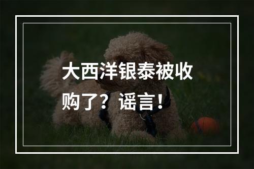 大西洋银泰被收购了？谣言！