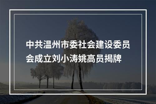 中共温州市委社会建设委员会成立刘小涛姚高员揭牌