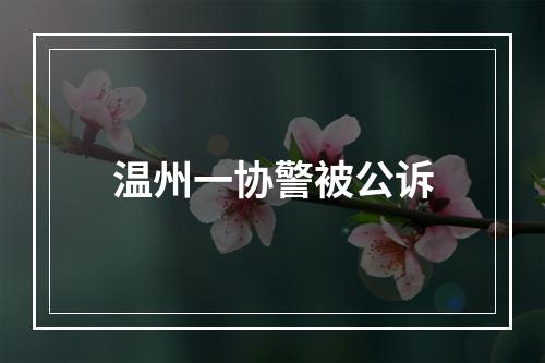 温州一协警被公诉