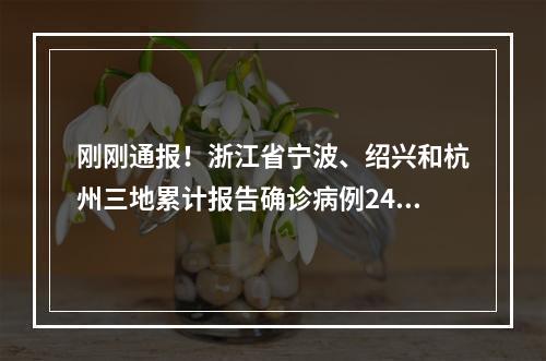 刚刚通报！浙江省宁波、绍兴和杭州三地累计报告确诊病例24例、无症状感染者 ...