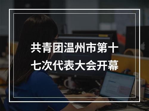 共青团温州市第十七次代表大会开幕