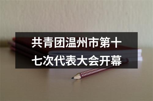 共青团温州市第十七次代表大会开幕