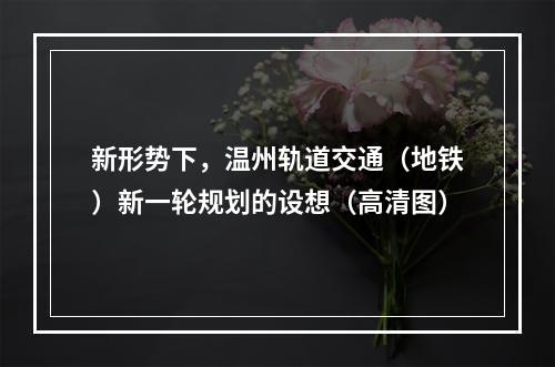 新形势下，温州轨道交通（地铁）新一轮规划的设想（高清图）
