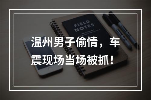 温州男子偷情，车震现场当场被抓！