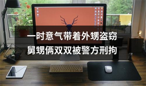 一时意气带着外甥盗窃 舅甥俩双双被警方刑拘