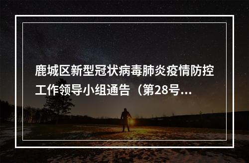 鹿城区新型冠状病毒肺炎疫情防控工作领导小组通告（第28号)
