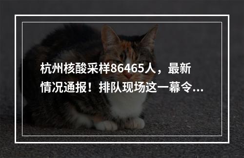 杭州核酸采样86465人，最新情况通报！排队现场这一幕令人动容