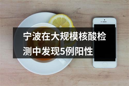 宁波在大规模核酸检测中发现5例阳性