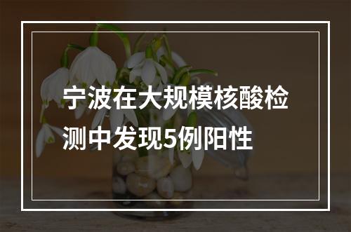 宁波在大规模核酸检测中发现5例阳性
