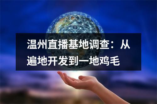 温州直播基地调查：从遍地开发到一地鸡毛