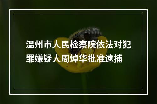 温州市人民检察院依法对犯罪嫌疑人周焯华批准逮捕