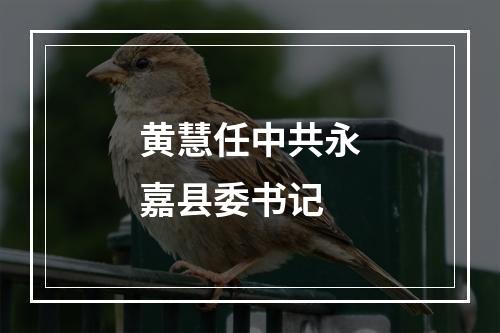 黄慧任中共永嘉县委书记