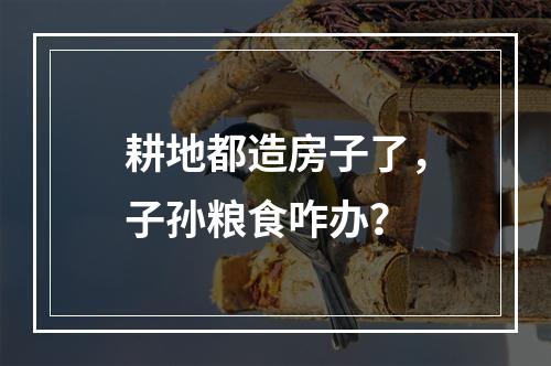 耕地都造房子了，子孙粮食咋办？