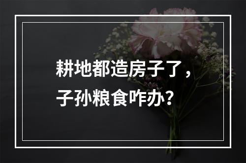 耕地都造房子了，子孙粮食咋办？