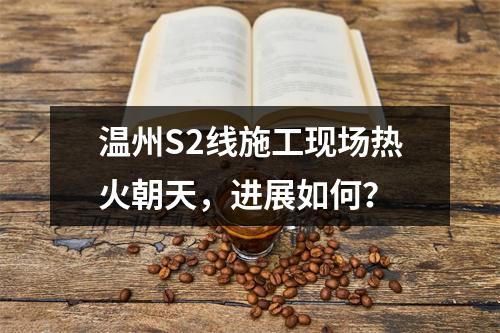 温州S2线施工现场热火朝天，进展如何？