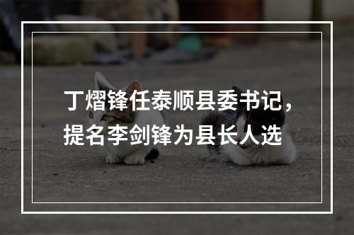 丁熠锋任泰顺县委书记，提名李剑锋为县长人选