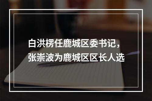 白洪楞任鹿城区委书记，张崇波为鹿城区区长人选