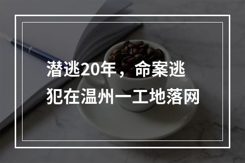 潜逃20年，命案逃犯在温州一工地落网
