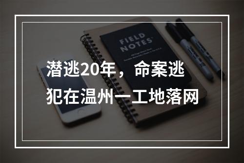 潜逃20年，命案逃犯在温州一工地落网