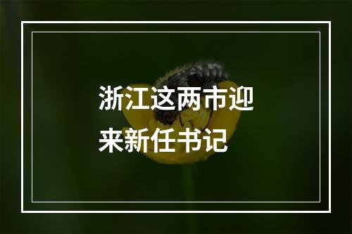 浙江这两市迎来新任书记