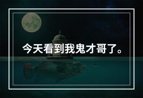 今天看到我鬼才哥了。