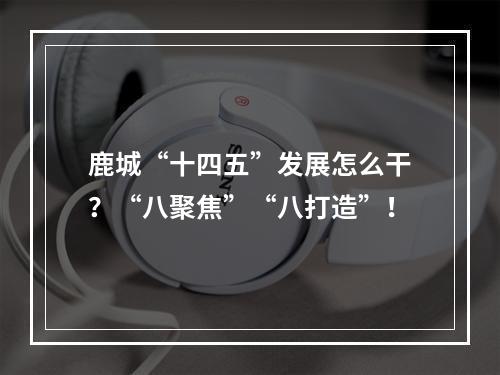 鹿城“十四五”发展怎么干？“八聚焦”“八打造”！