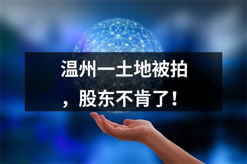 温州一土地被拍，股东不肯了！