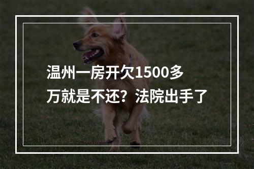 温州一房开欠1500多万就是不还？法院出手了
