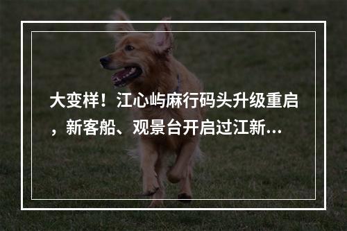 大变样！江心屿麻行码头升级重启，新客船、观景台开启过江新体验