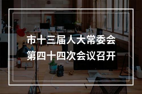 市十三届人大常委会第四十四次会议召开