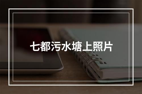 七都污水塘上照片