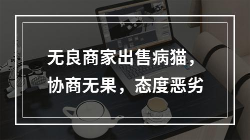 无良商家出售病猫，协商无果，态度恶劣