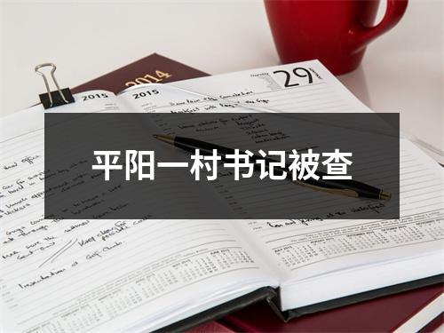 平阳一村书记被查