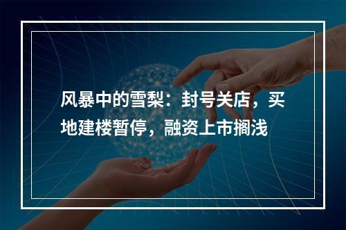 风暴中的雪梨：封号关店，买地建楼暂停，融资上市搁浅